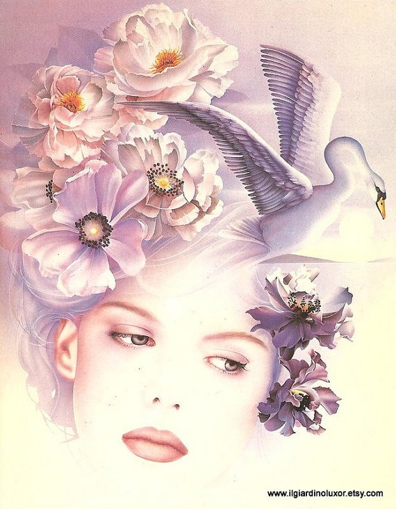 An '80s swan postcard from Arti Grafiche Ricordi