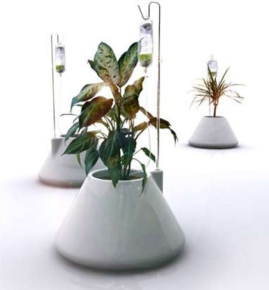 IV Plant Pots (Image from ThisNext)