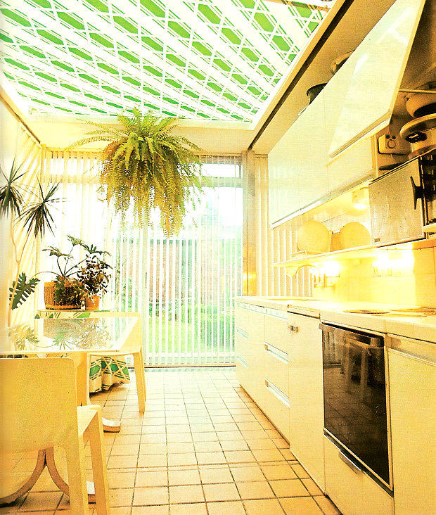 Plant life in an '80s kitchen