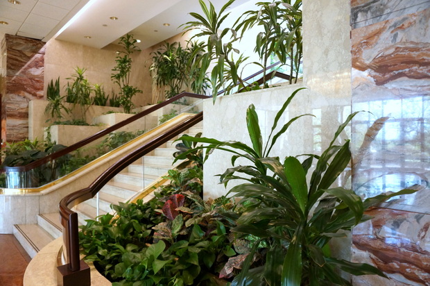 A lobby marble staircase lined with plants