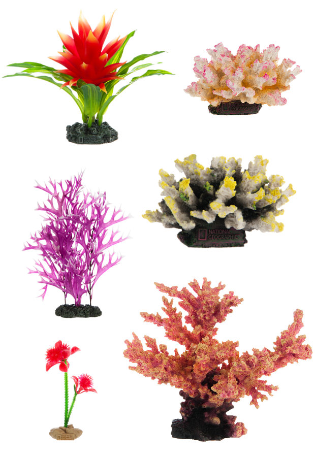 Aquarium plants and ornaments from National Geographic