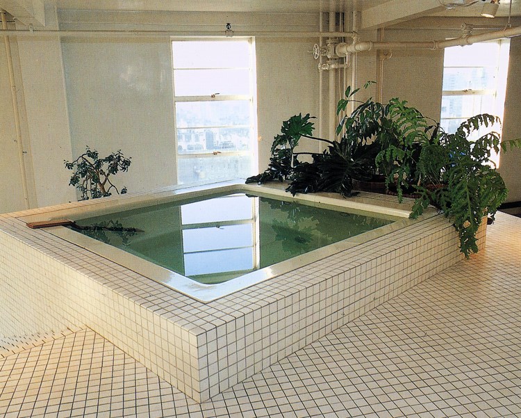 Grid bathtub with a plant