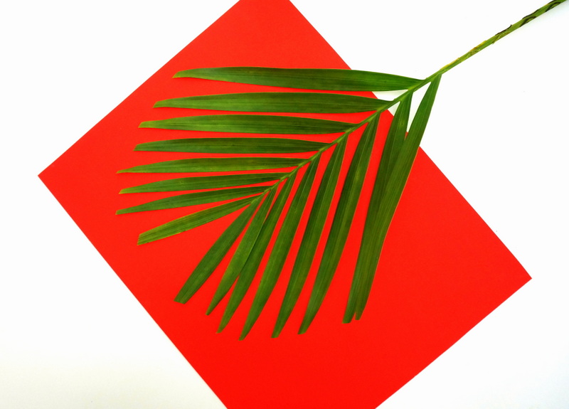 A palm leaf to fill the vase